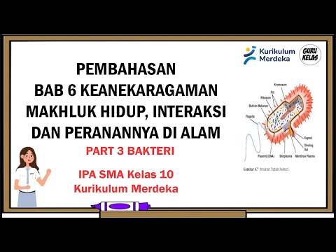 BAB 6 KEANEKARAGAMAN MAKHLUK HIDUP  INTERAKSI DAN PERANANNYA DI ALAM  (BAKTERI)
