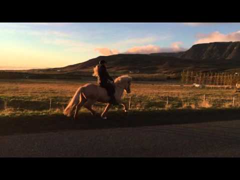 Lýsingur Frá Hrútafelli