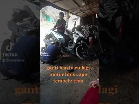 Motor Ter ribet