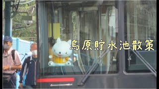 2020.10.03 烏原貯水池散策(水と森の回遊路)
