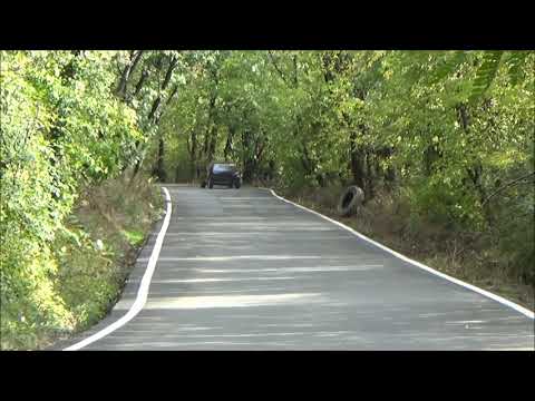 Dejan Vukic - Brdska trka Avala 2021 - Peugeot 106 1.3 rallye