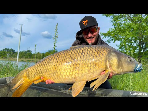 FEEDERMANIA - Partközeli rapid feederezés a Pecatanyán. Rapid feeder fishing on a lake.