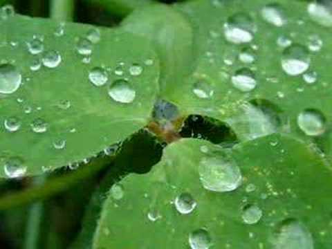 cuarteto heman ....vientos destios suaves