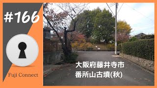 #166 大阪府藤井寺市　番所山古墳(秋)