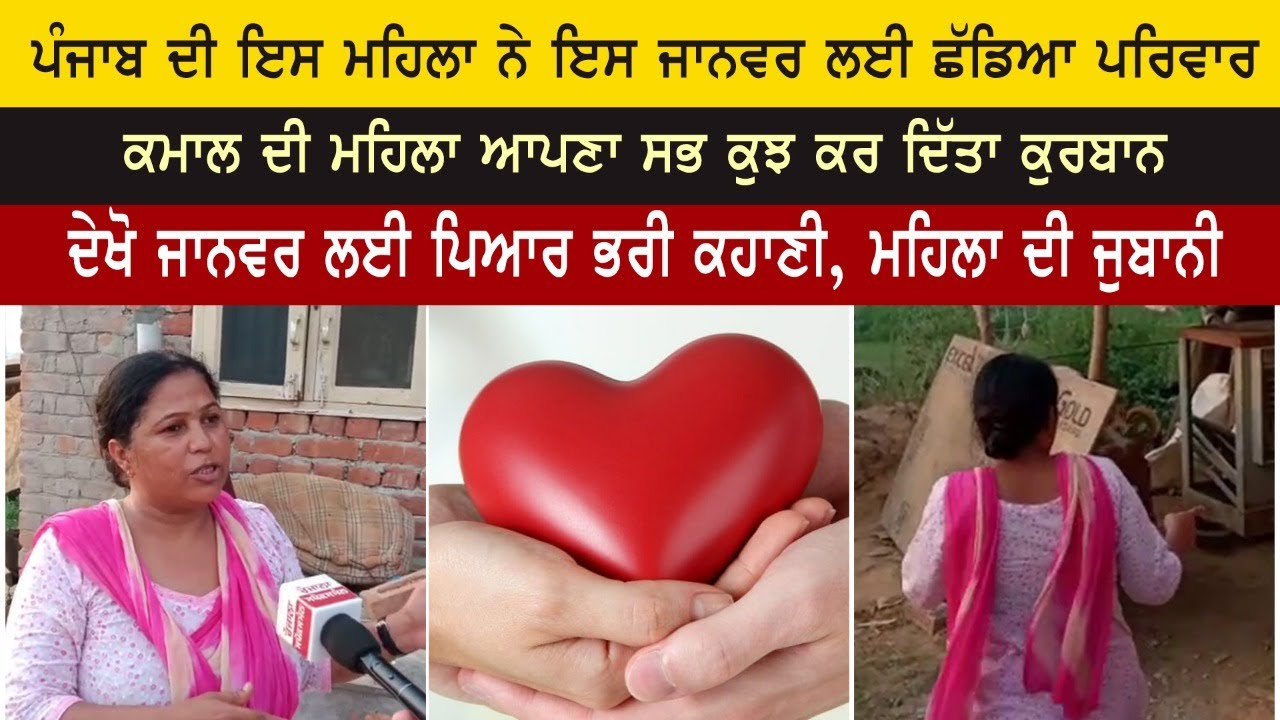 ਪੰਜਾਬ ਦੀ ਇਸ ਮਹਿਲਾ ਨੇ ਇਸ ਜਾਨਵਰ ਲਈ ਛੱਡਿਆ ਪਰਿਵਾਰ, ਦੇਖੋ ਪਿਆਰ ਭਰੀ ਕਹਾਣੀ ਪੰਜਾਬ ਦੀ ਇਸ ਮਹਿਲਾ ਨੇ ਇਸ ਜਾਨਵਰ ਲਈ ਛੱਡਿਆ ਪਰਿਵਾਰ, ਦੇਖੋ ਪਿਆਰ ਭਰੀ ਕਹਾਣੀ