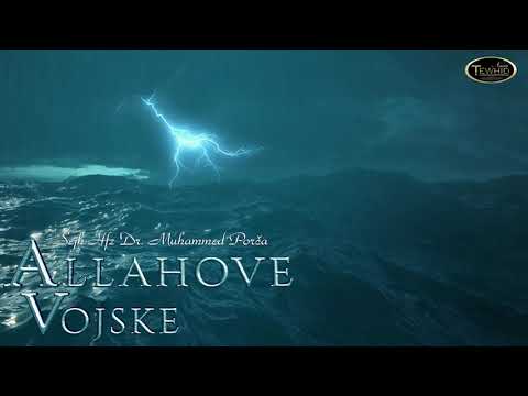ALLAHOVE VOJSKE | Šejh Hfz Dr. Muhammed Porča