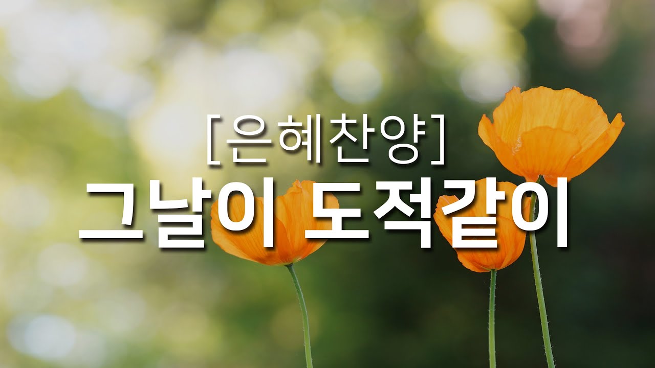 감사를 찾아내라