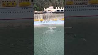 Seaplane landing between Cruise Ships in Juneau