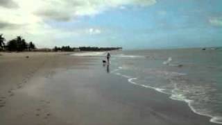 preview picture of video 'Laia na praia de Tamandaré'