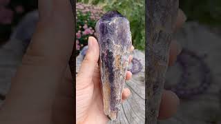  Ametyst špice extra kvalita 330g