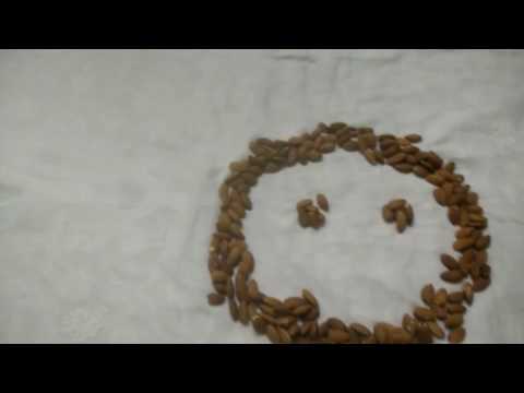 Happy birthday javeria