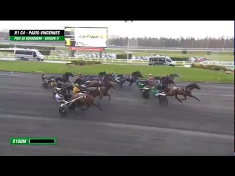 TIMOKO (B.Goop) slays field in Prix de Bourgogne (Gr. 2) 11'7