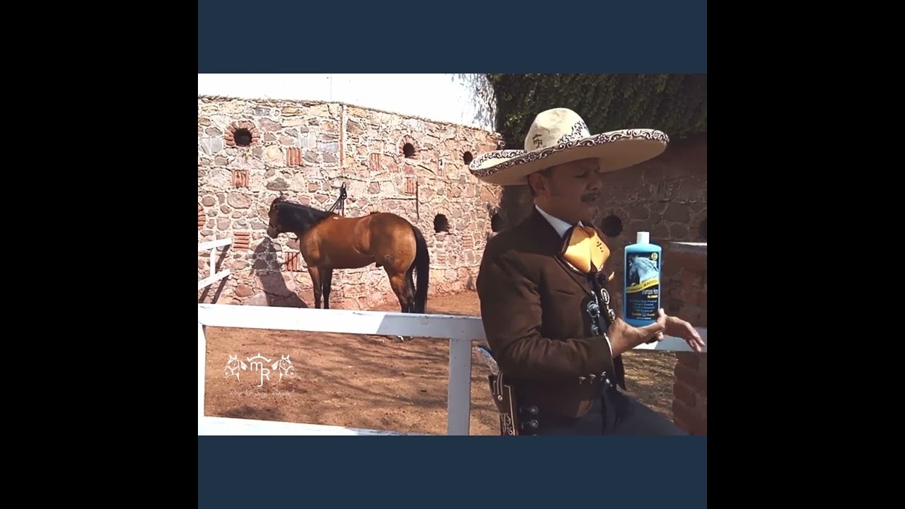Shampoo para caballo con sabila y BIOTINA