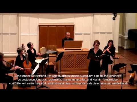 Antonio Caprioli  (ca. 1500) - Quella bella e bianca mano