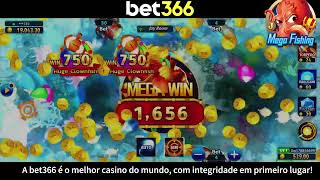 bet366.com