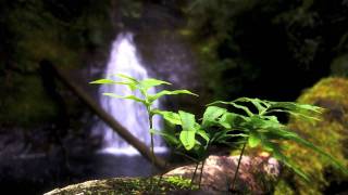 Markus Schulz- You Won&#39;t See Me Cry (Original Mix)