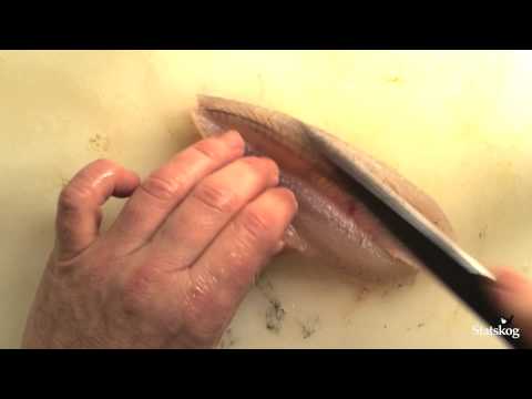 download lagu mp3 mp4 Gjedde Oppskrift, download lagu Gjedde Oppskrift gratis, unduh video klip Gjedde Oppskrift