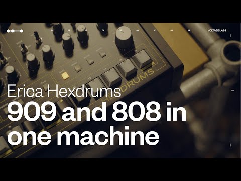 Get to know the new Erica Hexdrums | Voltage Labs