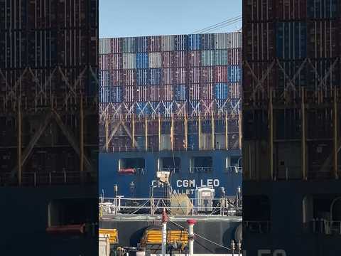 CMA CGM LEO DEPARTURE ￼