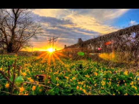 Laya Project - Glorious Sun-Ya Allah-Muliya-Farihi (Ferenz Kallos Remix)
