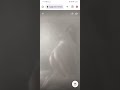 Russian In Tango Live