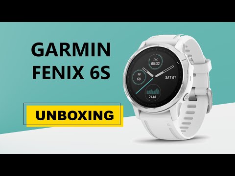 Garmin fenix 6S White/White