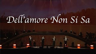 포레스텔라(Forestella) 'Dell'amore Non Si Sa' Live Clip (THE WAVE IN CINEMA ver.)