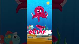 Sea creatures shark, clown fish, ray, octopus, shrimp