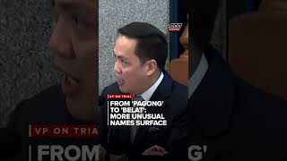 From 'Pagong' to 'Belat': More unusual names of OVP fund recipients surface | ANC