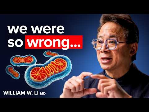 4 Lebensmittel zur Bildung neuer Mitochondrien (Wissenschaftlicher Beweis) | Dr. William Li