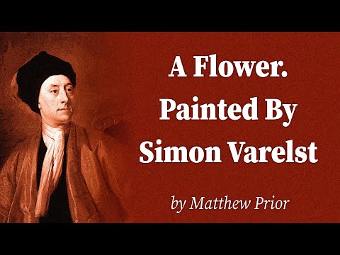 A Flower. Painted By Simon Varelst by Matthew Prior