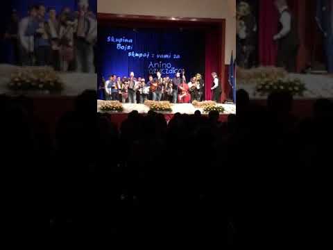 Dobrodelni koncert Skupine Bojsi ( Anina zvezdica)