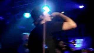 Mad Caddies - Weird Beard