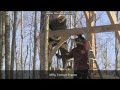 Higglytown Heroes Meets Mira Timber Frame M4v