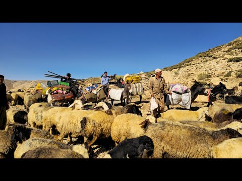 The end of nomadic life in the mountains⛰️ | The amazing migration of nomads in difficult valleys🌄