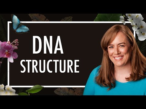 DNAの構造とは？  3Dペンで二重らせんを作る方法｜生物学｜生化学 (What is DNA Structure?  How to Make a Double Helix with a 3D Pen | Biology | Biochemistry)