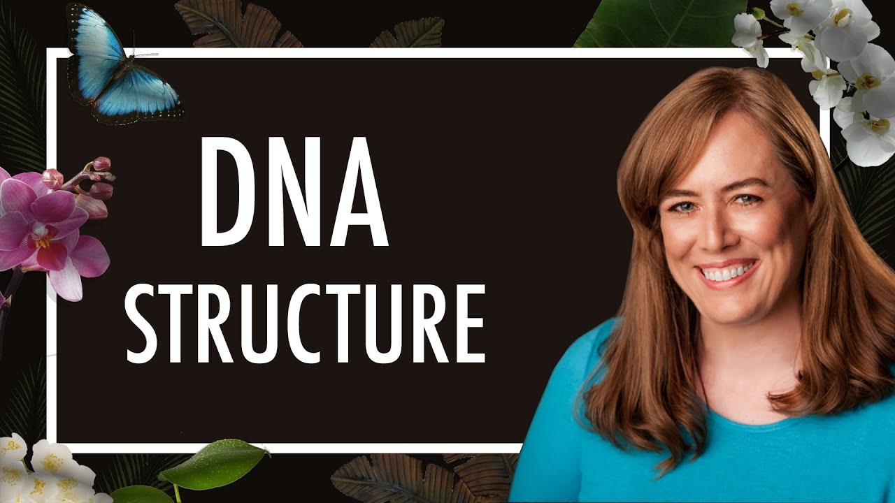 What is DNA Structure?  How to Make a Double Helix with a 3D Pen | Biology | Biochemistry