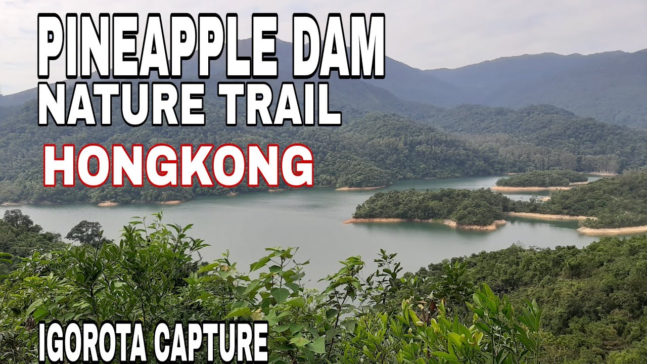 Discover hidden dam structures and lush greenery on your hike.