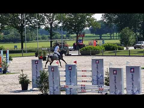 mr. Cornet de Regor (Cornet Obelensky x Kannan x Cento