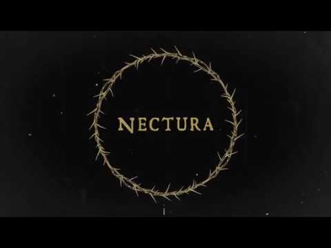 Nectura - Kawan Bukan Lawan  video lyric