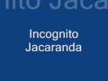 Incognito-Jacaranda