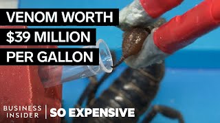 Why Scorpion Venom Is So Expensive | So Expensive