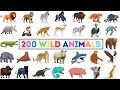 200 Wild Animals Learn Animals Name In English With Pictures Animals Vocabulary In English