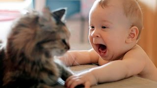 Дети и кошки приколы - Funny cats and babies