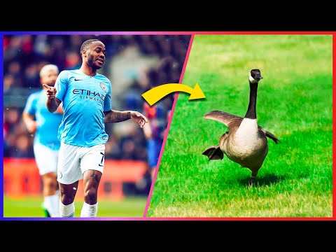 Why Does Raheem Sterling Run Like A Goose?