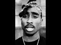 2Pac - Runnin from the Police (Remix) 