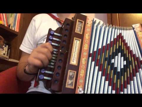 Lezione di organetto 1