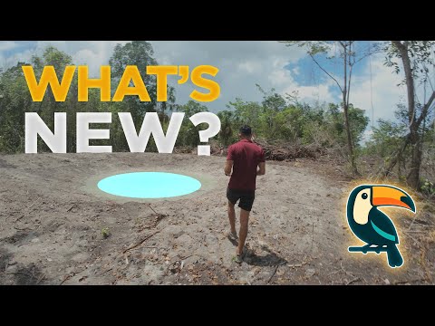 img-video