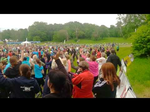 Blodomloppet Stockholm 2014