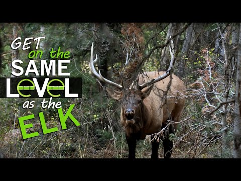 Getting on the Same Level as the Elk - In the Zone (Episode 7)